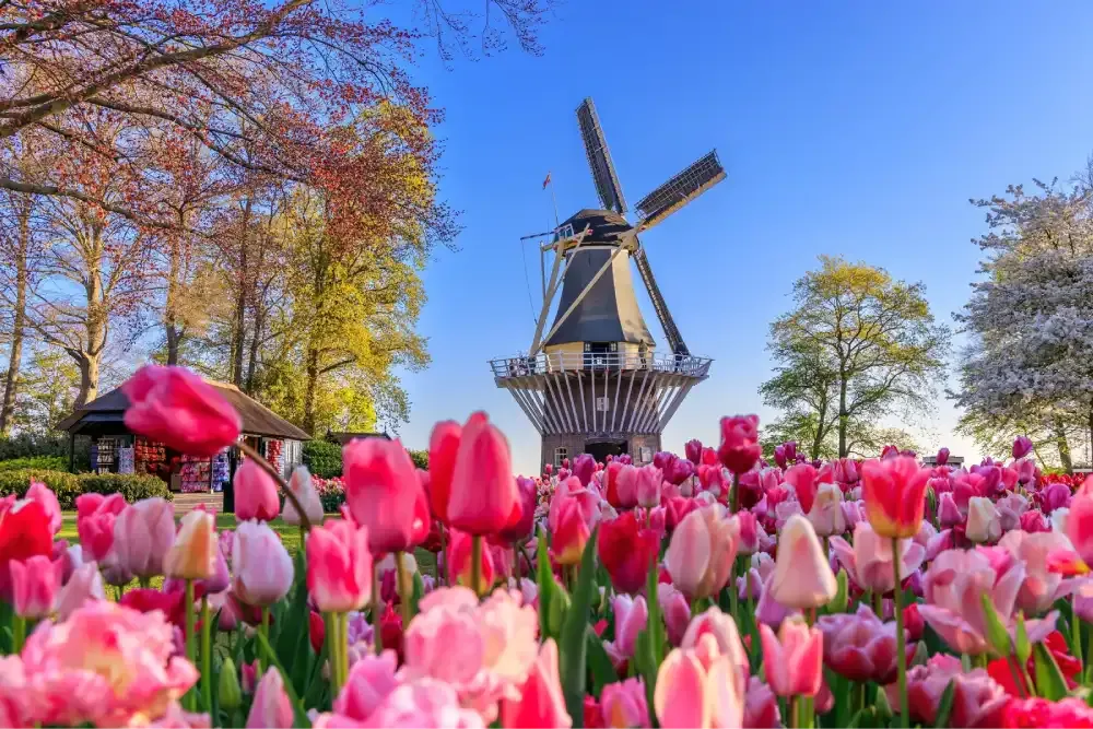 The Netherlands